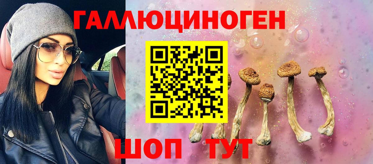 Псилоцибиновые грибы GOLDEN TEACHER  Вход с VPN  Богородицк 