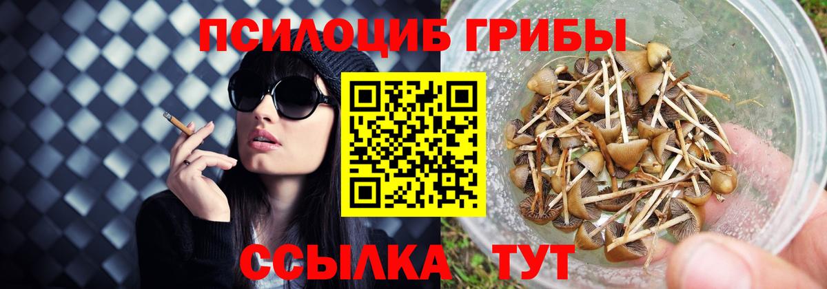 Галлюциногенные грибы Cubensis Богородицк